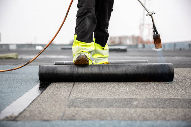 Best Sheet Metal Roofing  in Verona, VA